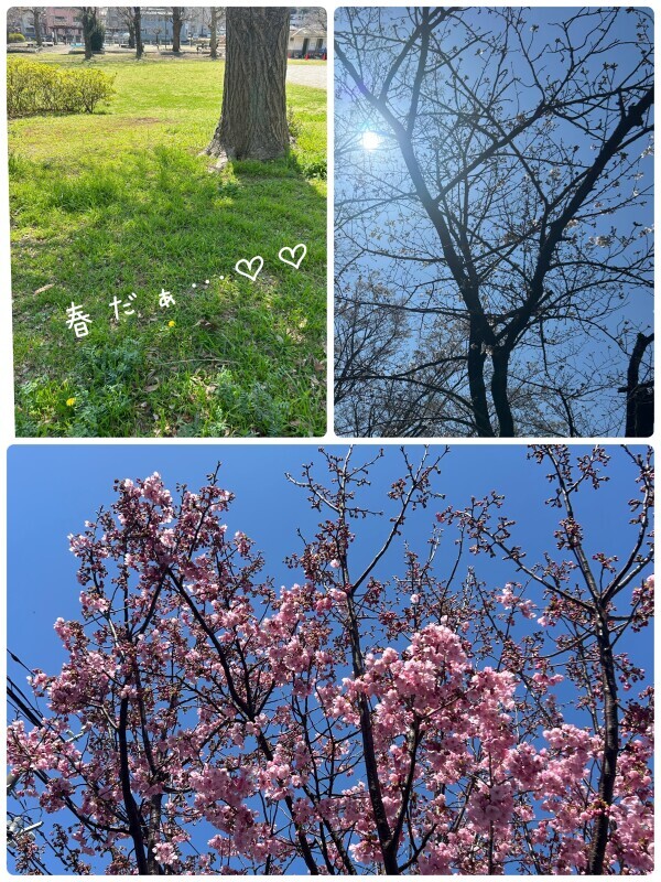 春すぎる⸜🌷︎⸝‍