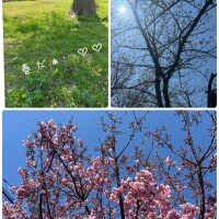 春すぎる⸜🌷︎⸝‍