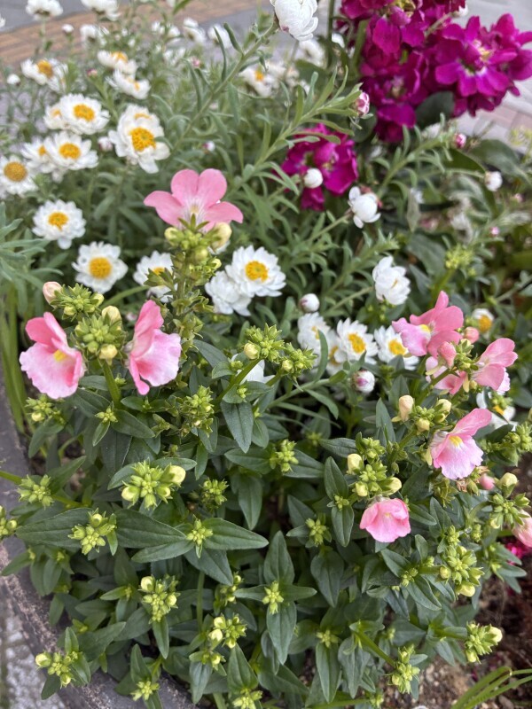 おはようございます💛