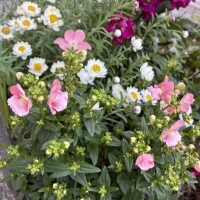 おはようございます💛