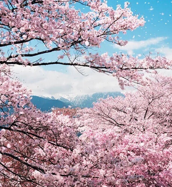 どんよりだけど…