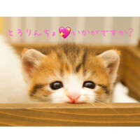 まだ✨️