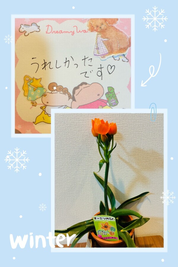 ありがとうございました💛