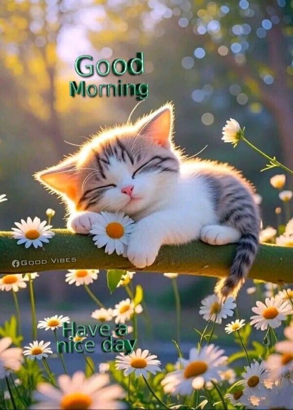 おはようございます