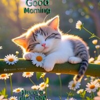 おはようございます