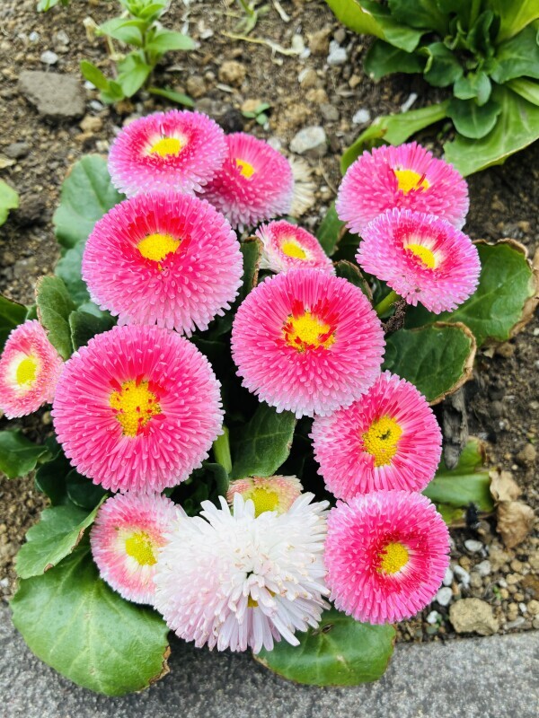 おはようございます😊