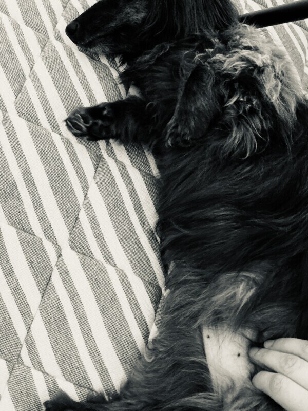 おはようございます