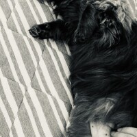 おはようございます