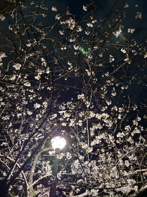 こんにちは☺️