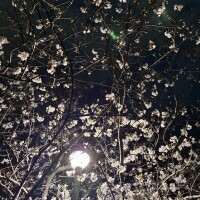 こんにちは☺️