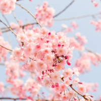 今夜市原ルームです☺️