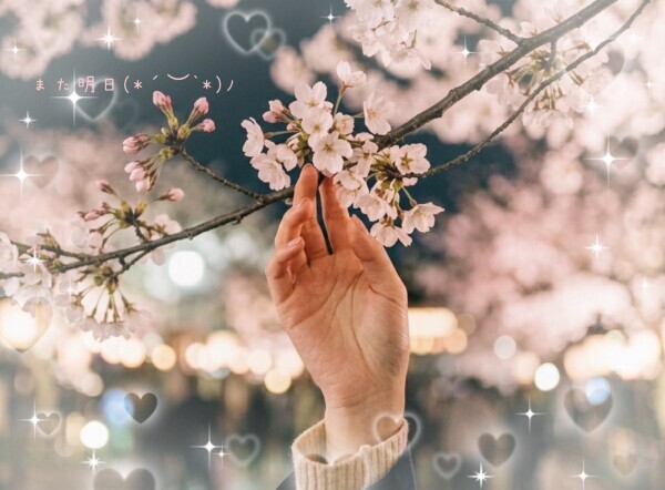 お疲れ様でした🥰✨️