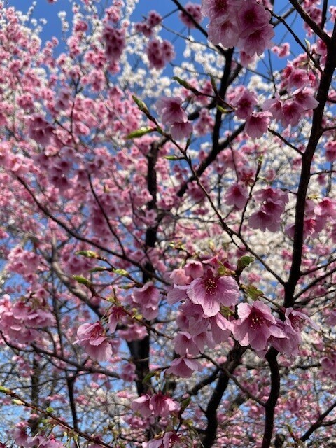 おはようございます🌞