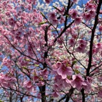 おはようございます🌞