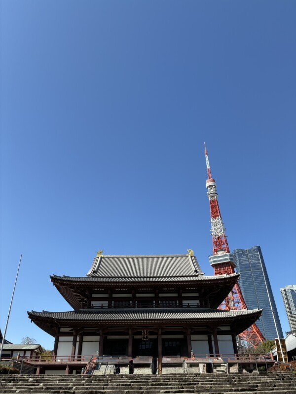 おはようございます🌸