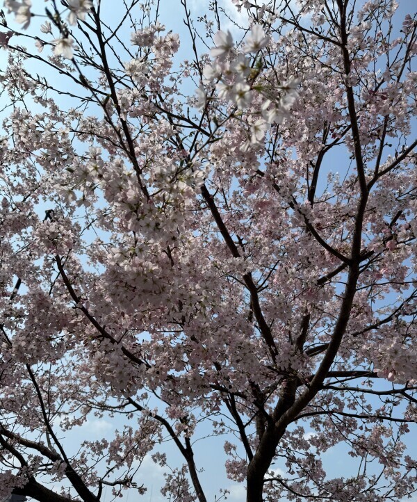 おはようございます