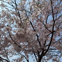 おはようございます