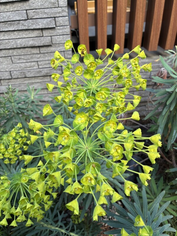 おはようございます☘️