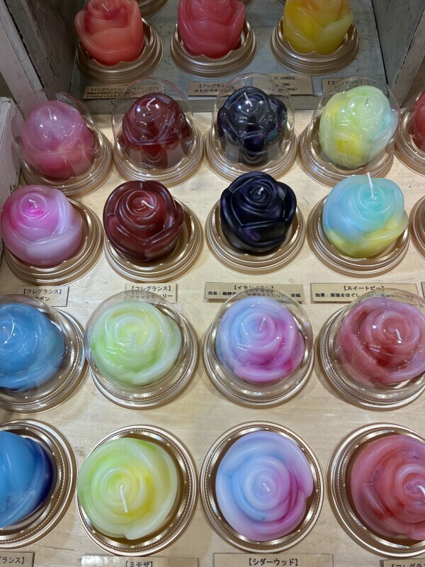 おはようございます😉