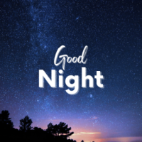 おやすみなさい🌙