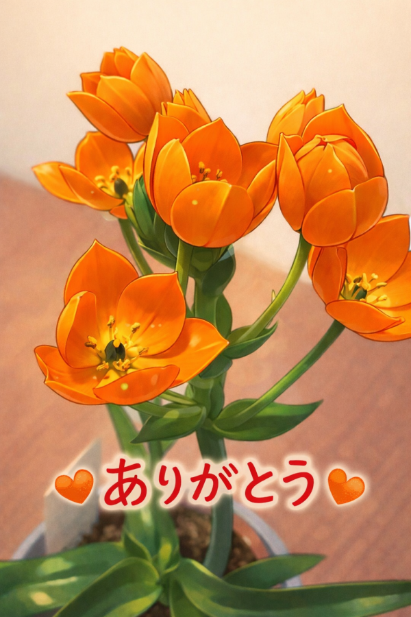 ありがとうございました💖