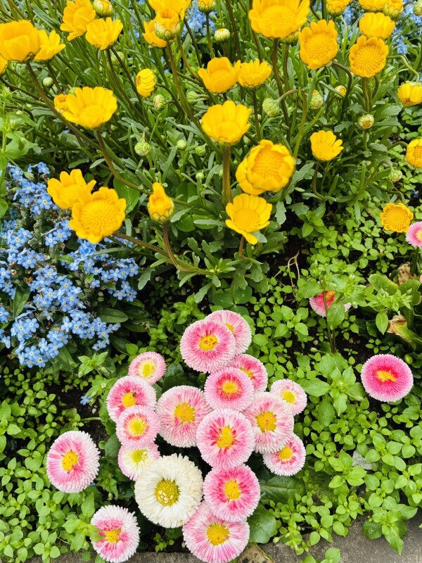 おはようございます🥰