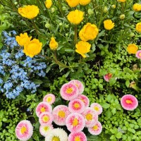 おはようございます🥰