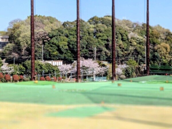 こんばんは🌛💕‪