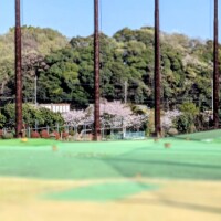 こんばんは🌛💕‪