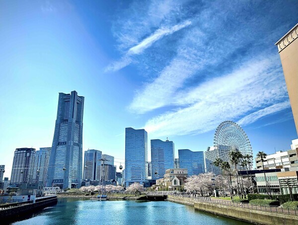 おはようございます☂️