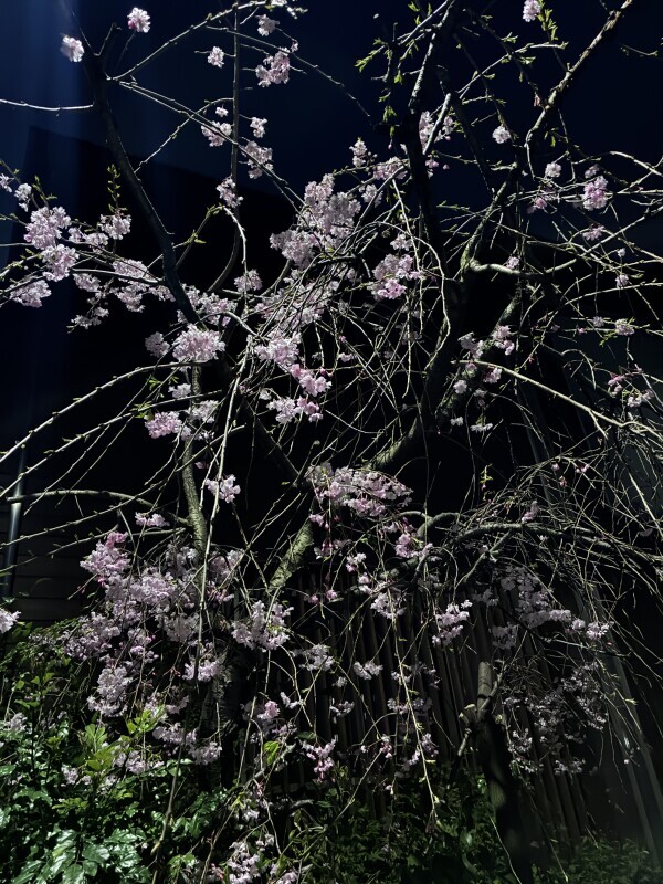 おはようございます💖