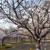 おはようございます