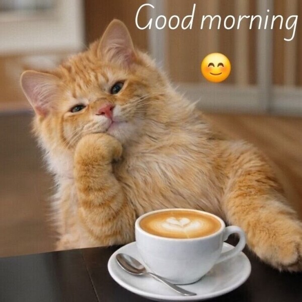 おはようございます