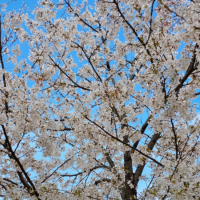 こんにちは☀️