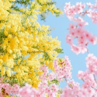 おはようございます