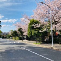 春の準備☘️