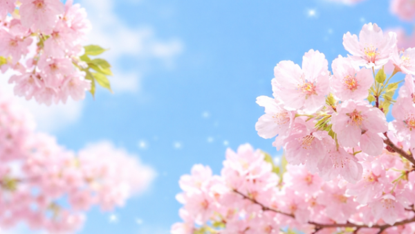 おはようございます