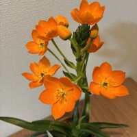 おやすみなさい🫶🏻