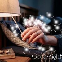 ☆*ɢᵒᵒᵈ ɴⁱᵍʰᵗ *☪︎｡