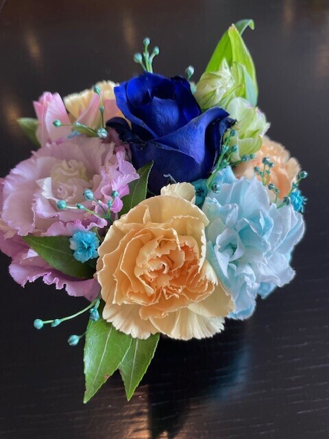 おはようございます☀