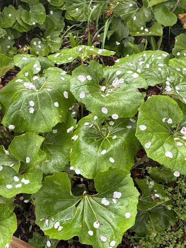 おはようございます🥰