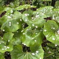 おはようございます🥰