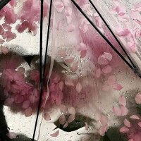 おはようございます