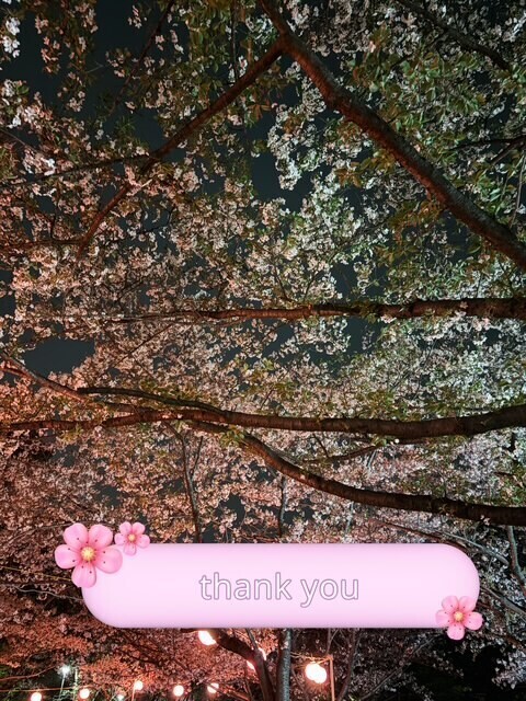 2日目ありがとうございました🌸