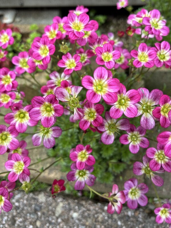 おはようございます🥰