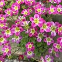 おはようございます🥰