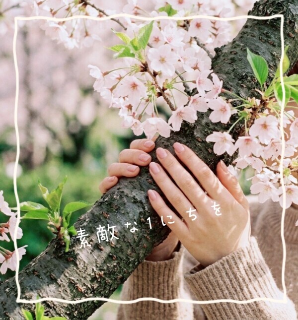 𝔾𝕠𝕠𝕕 𝕄𝕠𝕣𝕟𝕚𝕟𝕘 ☀︎*.｡