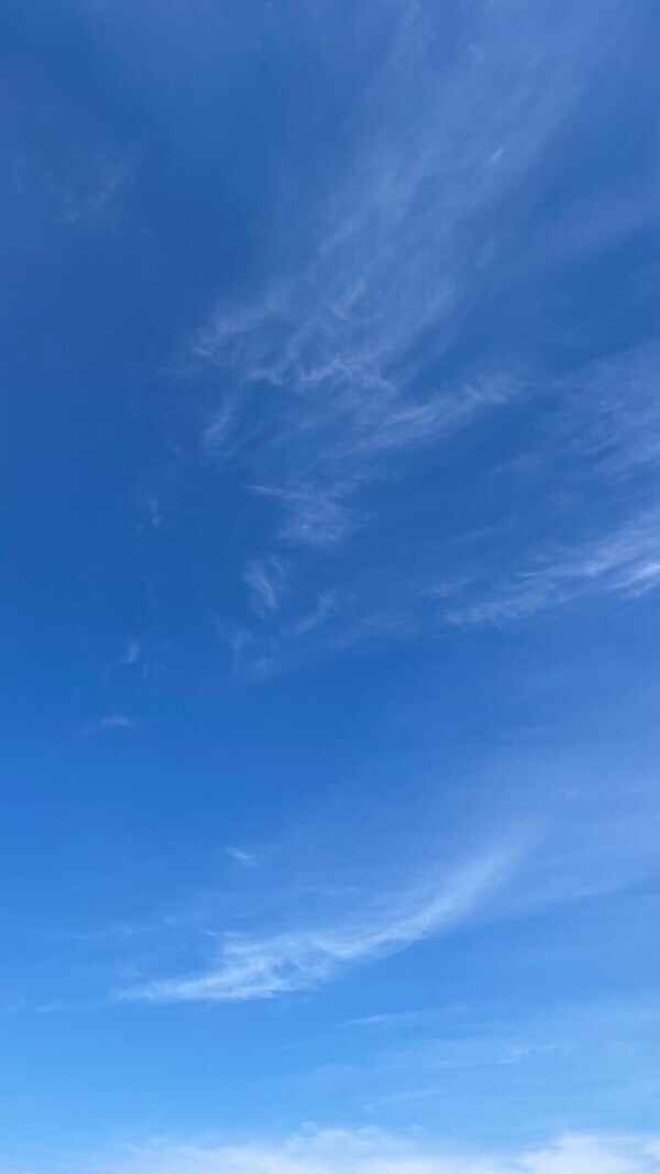 おはようございます