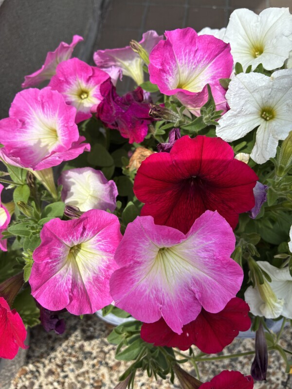 おはようございます😊