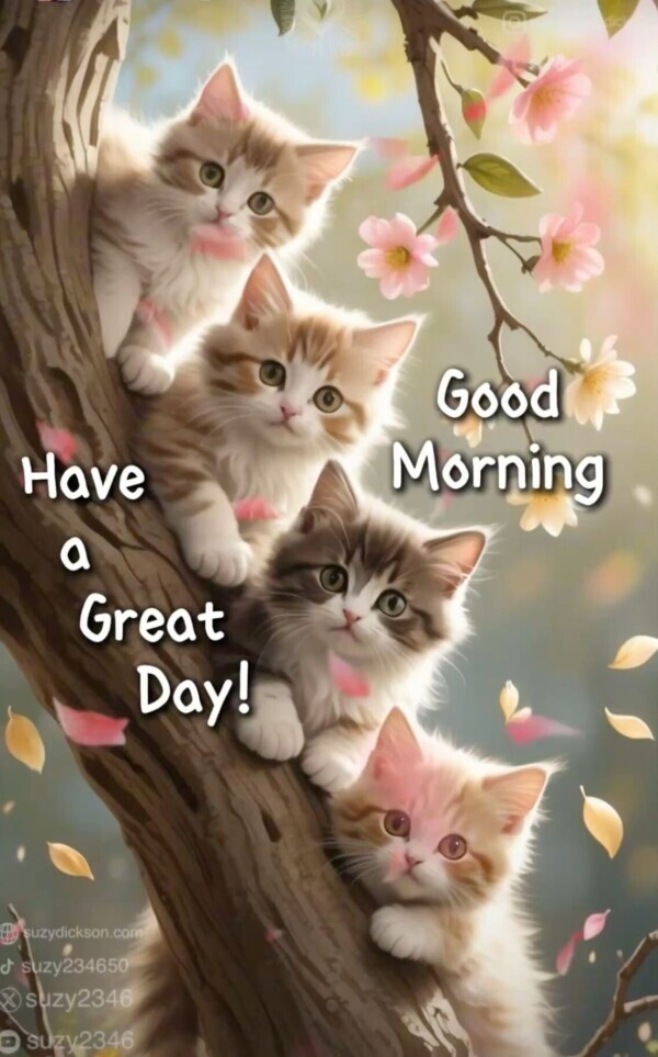 おはようございます